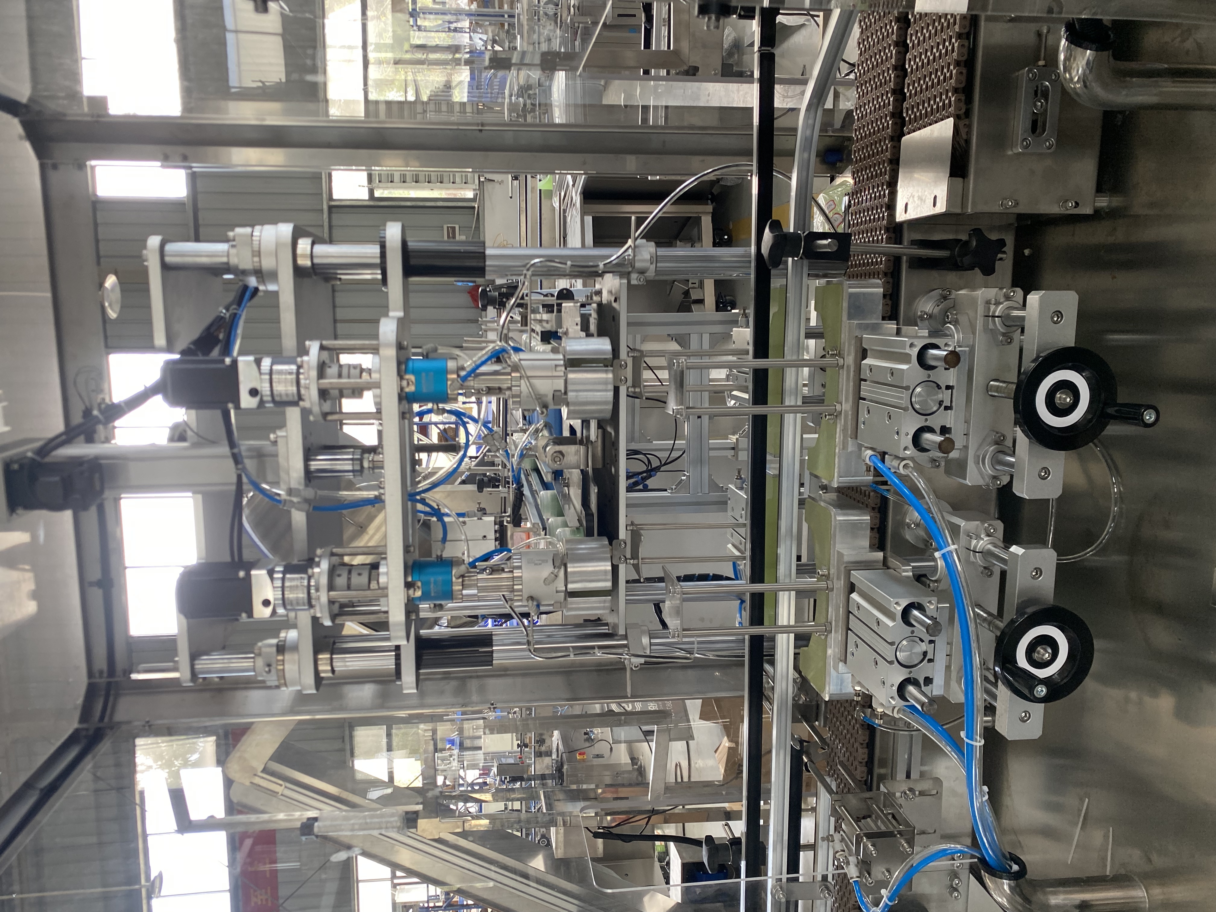 Double Head Capping Machine photo 3